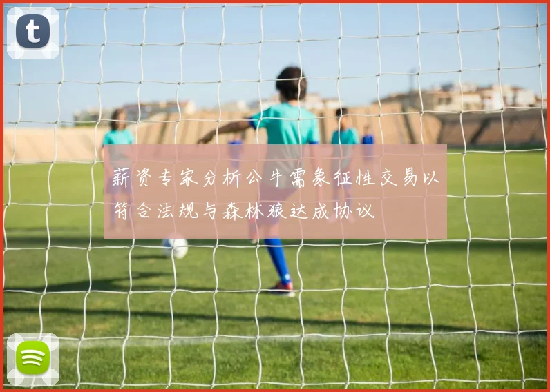 薪资专家分析公牛需象征性交易以符合法规与森林狼达成协议